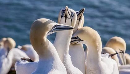 九游9游-【科技助赛】VR技术如何改变棒球观赛体验，vr 棒球