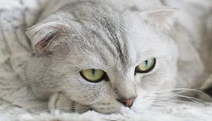 九游9游-【科技助赛】VR技术如何改变棒球观赛体验，vr 棒球