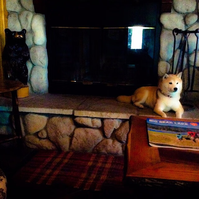 九游APP官网-“西甲赛场：明星纷纷展露锋芒，比赛精彩纷呈”，西甲明星都有哪些