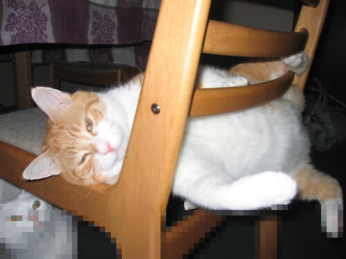 【费城队的韧性训练】伤兵满营还能保持战斗力,费城防守拳击